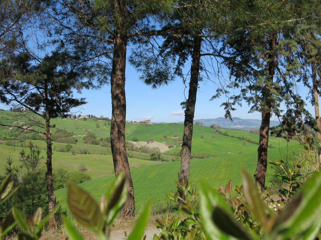 Agriturismo Il Palagetto 포마란체 외부 사진